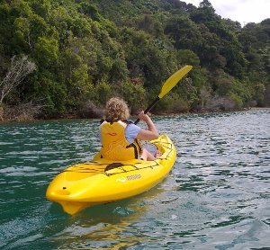 Catch 390 - Marlborough Sounds Catch 390 - Marlborough Sounds